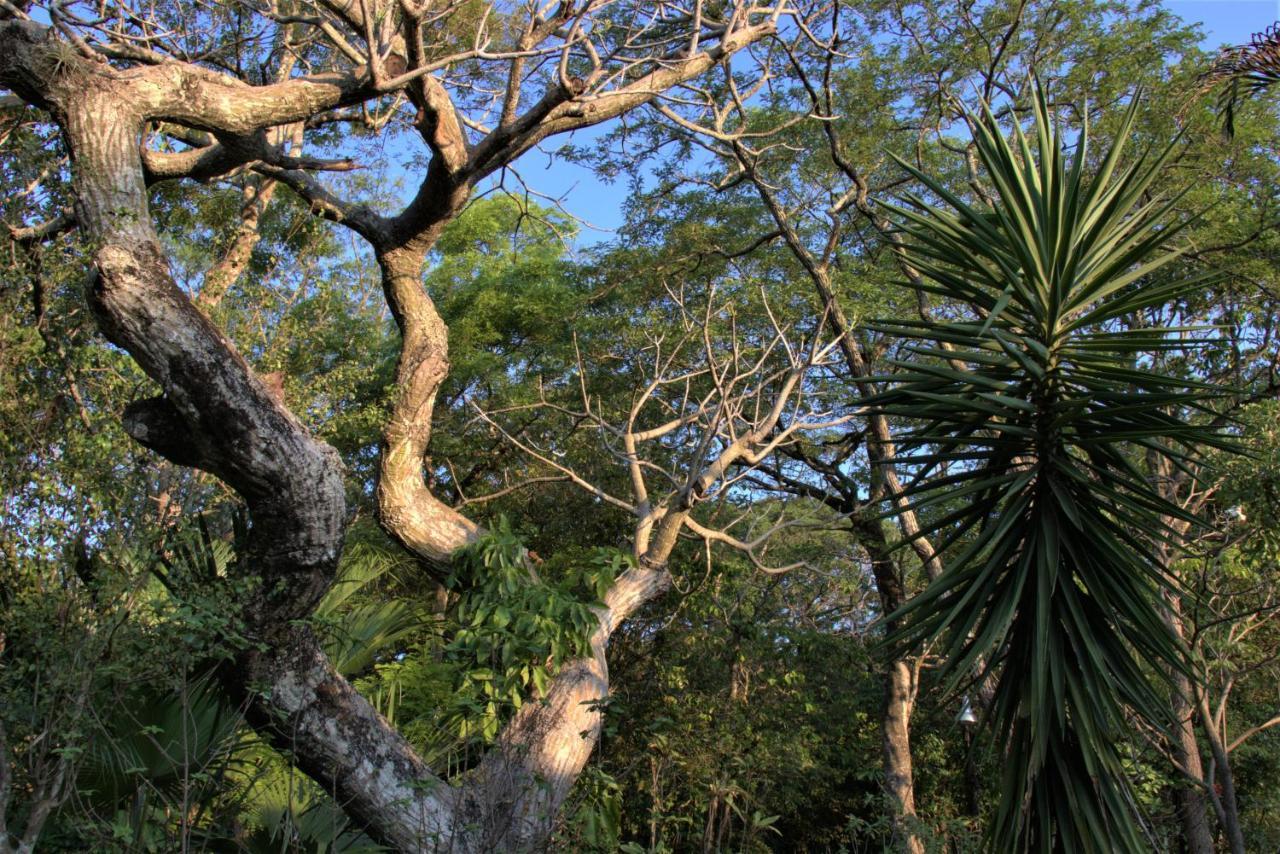 Casa Unica Com Piscina E Lareira A 1,2 Km Do Centro Villa Chapada dos Guimarães Esterno foto