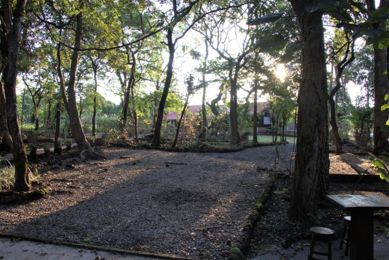 Casa Unica Com Piscina E Lareira A 1,2 Km Do Centro Villa Chapada dos Guimarães Esterno foto