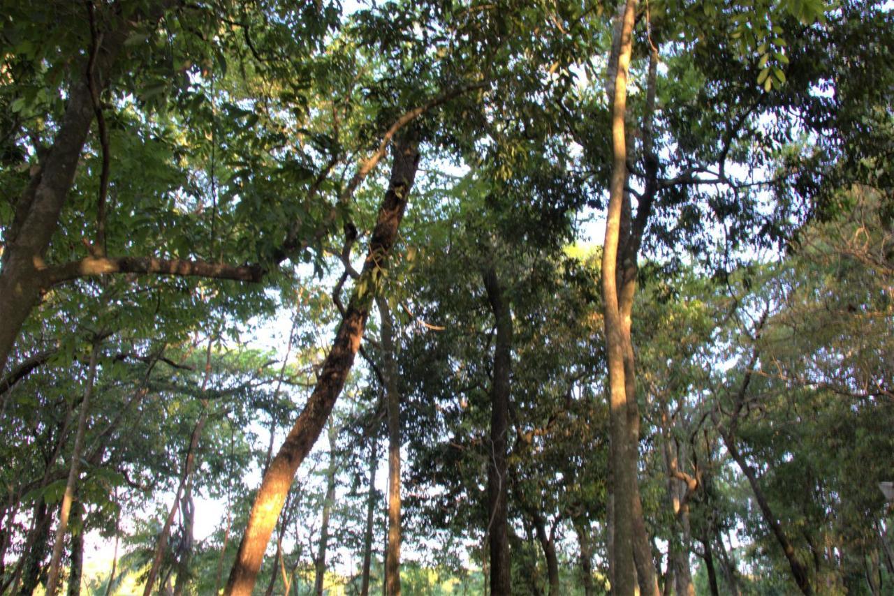 Casa Unica Com Piscina E Lareira A 1,2 Km Do Centro Villa Chapada dos Guimarães Esterno foto